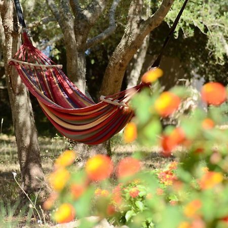 קפדפרה Finca Katia מראה חיצוני תמונה