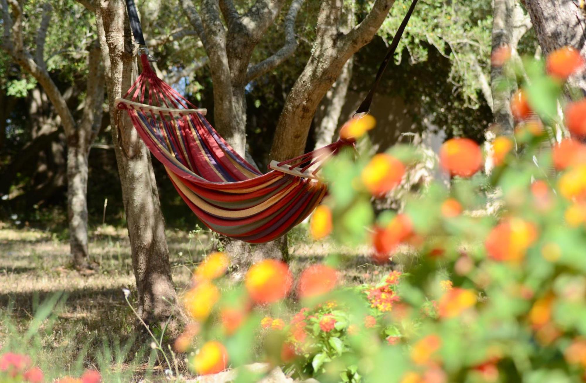 קפדפרה Finca Katia מראה חיצוני תמונה